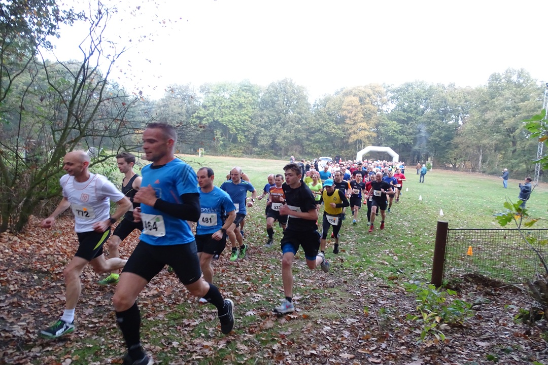 zondag 9 november Docfacross in Oss